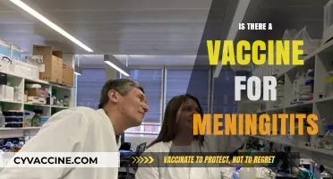 Combatting Meningitis: The Quest for Effective Vaccination