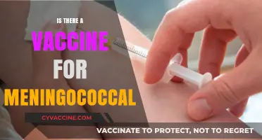 Exploring Meningococcal Vaccines: Protection Against a Serious Illness