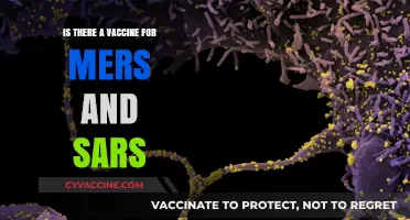 Exploring MERS and SARS Vaccines: Current Status and Future Prospects