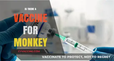 Exploring the Latest on Monkeypox Vaccines: Facts and Updates