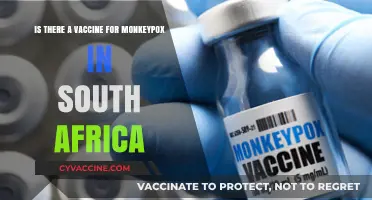 Monkeypox Vaccine Availability in South Africa: What You Need to Know