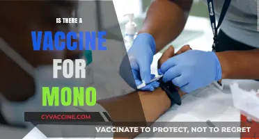 Is There a Vaccine for Mono? Exploring Prevention and Treatment Options