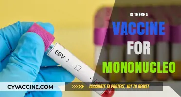 Mononucleosis Vaccine: Current Status and Future Possibilities Explained