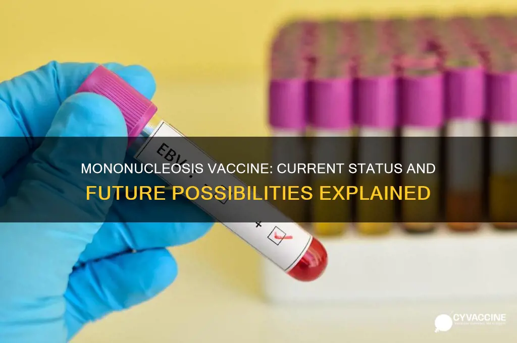 is there a vaccine for mononucleosis