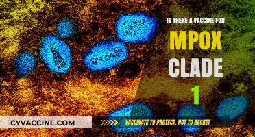 Mpox Clade 1 Vaccine: Current Status and Availability Explained