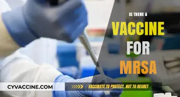 Exploring the Possibility: Is There a Vaccine for MRSA?