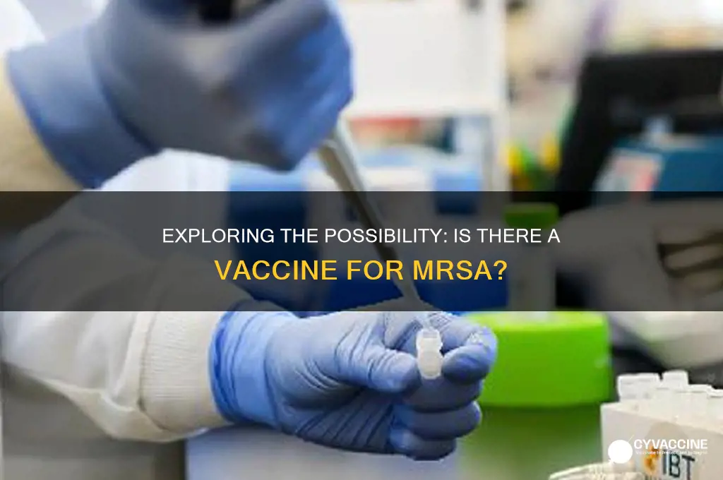 is there a vaccine for mrsa