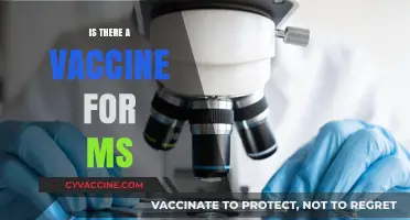 Exploring the Latest Advances: Is There a Vaccine for Multiple Sclerosis?