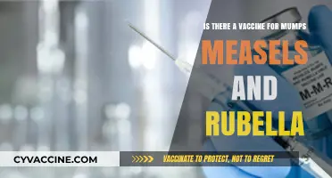 MMR Vaccine: Protecting Against Mumps, Measles, and Rubella – What You Need to Know