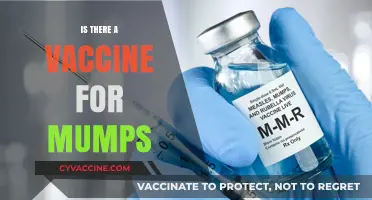 Mumps Vaccine: Availability, Effectiveness, and Prevention Explained