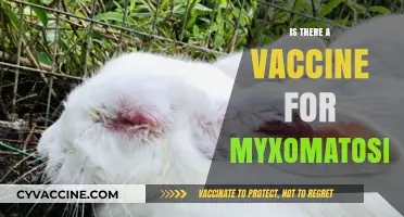 Exploring the Search for a Myxomatosis Vaccine: Hope or Hype?