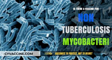 Exploring Vaccines for Non-Tuberculosis Mycobacterium: Current Research and Progress