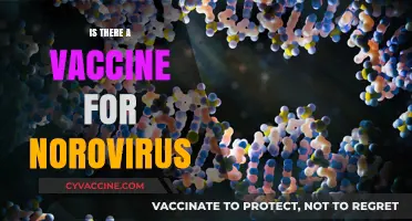 Norovirus Vaccine: Current Status and Future Prospects Explained