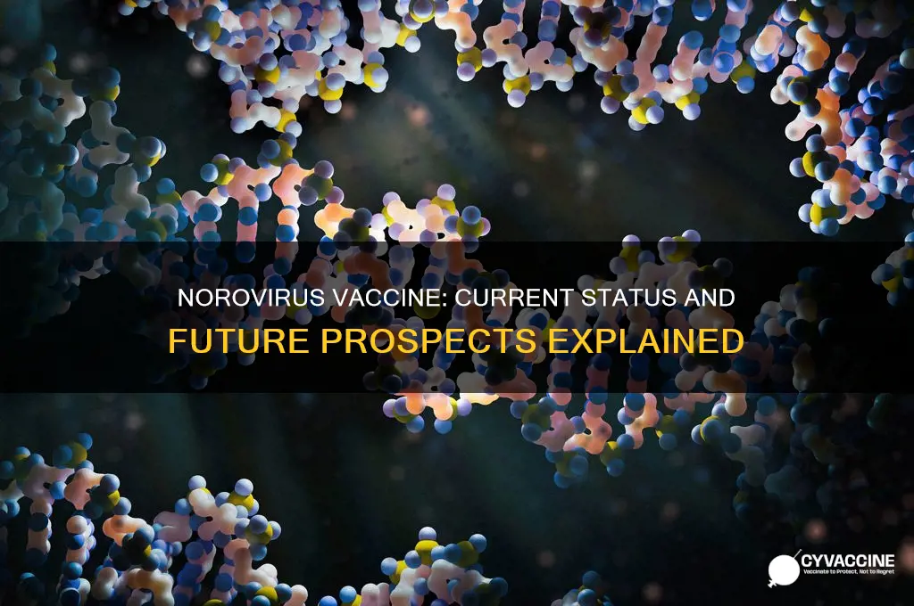 is there a vaccine for norovirus