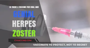 Exploring Vaccine Options for Oral and Genital Herpes Zoster Relief