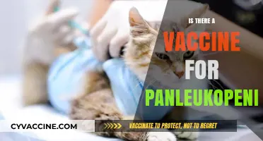 Exploring Feline Health: The Quest for a Panleukopenia Vaccine