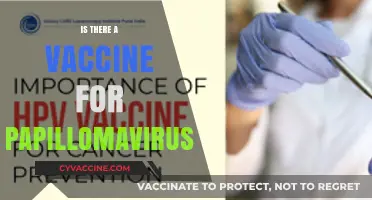 Exploring the Latest Advances in Papillomavirus Vaccination