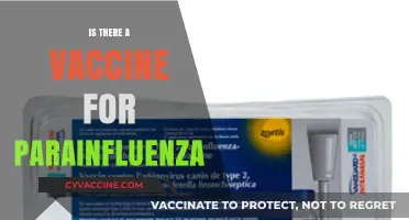 Exploring the Quest for a Parainfluenza Vaccine: Hope or Hype?