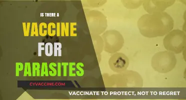 Exploring the Quest for a Parasite Vaccine: Hope or Hype?