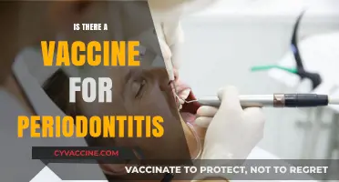 Exploring the Possibility: Is There a Vaccine for Periodontitis?