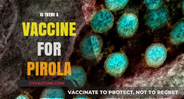 Exploring the Latest on Pirola: Vaccine Developments and Facts