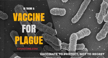 Is There a Vaccine for Plague? Exploring Prevention and Protection