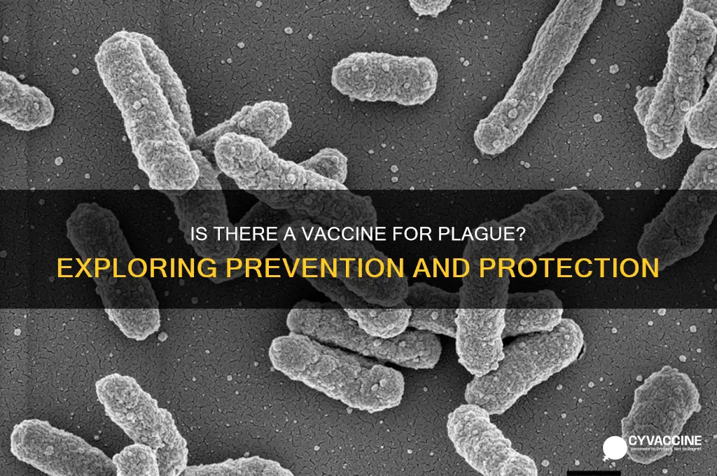 is there a vaccine for plague