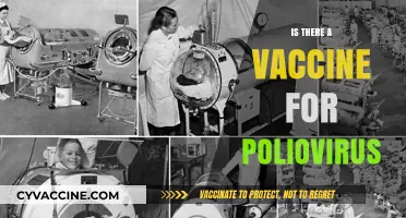 Combatting Polio: The Quest for a Protective Vaccine
