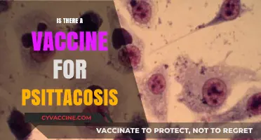 Exploring Psittacosis: The Quest for a Protective Vaccine