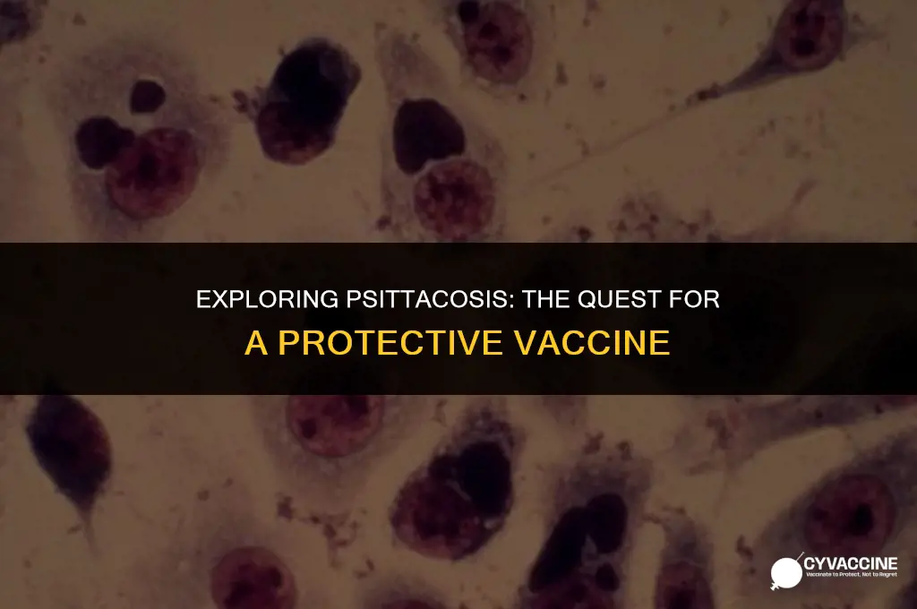 is there a vaccine for psittacosis