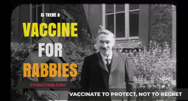 Combatting Rabies: The Quest for Effective Vaccination Strategies
