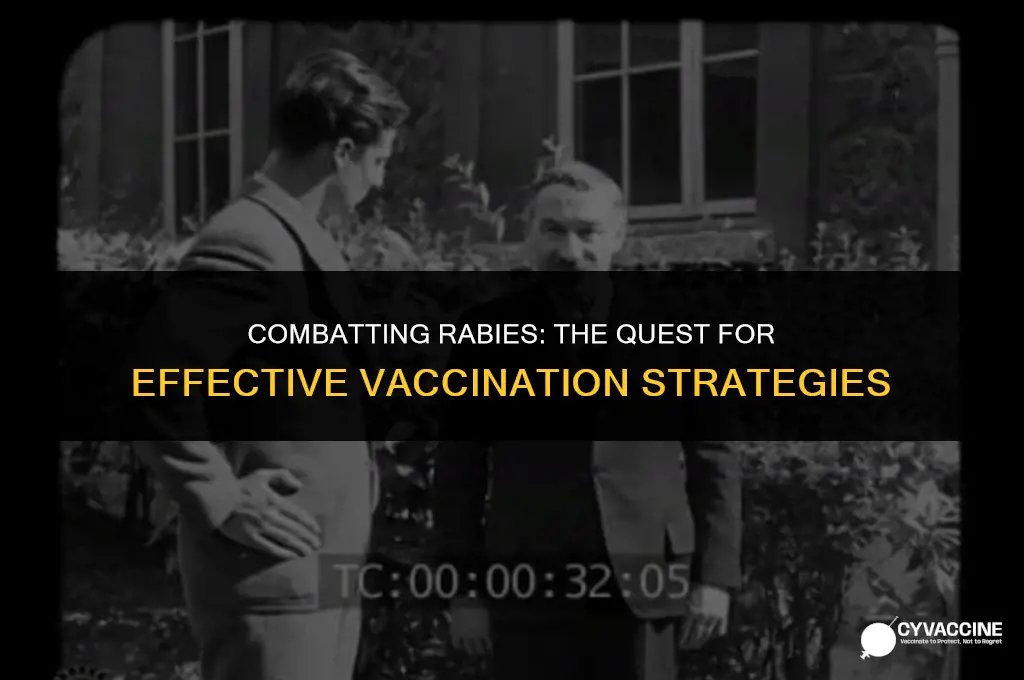 is there a vaccine for rabbies