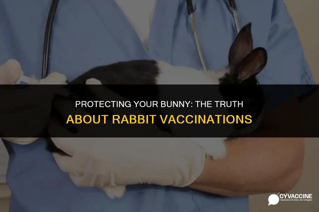 is there a vaccine for rabbits