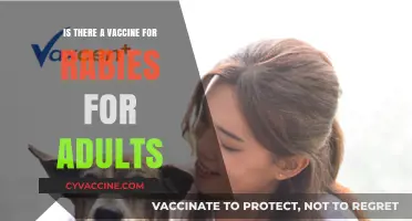 Adult Rabies Vaccine: Availability, Importance, and When to Get It