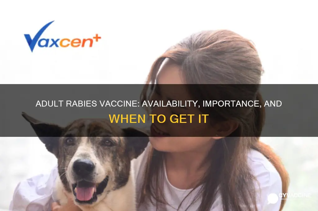 is there a vaccine for rabies for adults