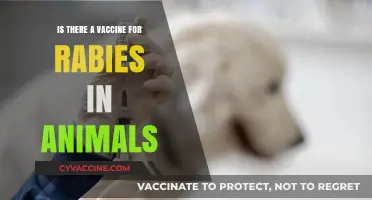 Rabies Vaccine for Animals: Availability, Efficacy, and Importance