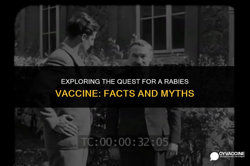 is there a vaccine for raboes