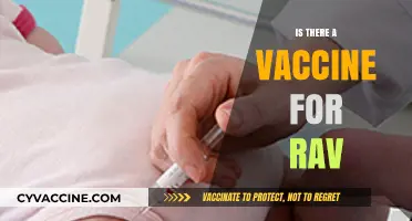 Exploring the Quest for a RAV Vaccine: Hope or Hype?