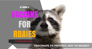 Exploring the Latest on Rabies Vaccination: Facts and Myths