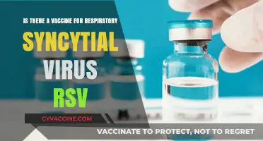 RSV Vaccine: Current Status and Future Prospects for Prevention