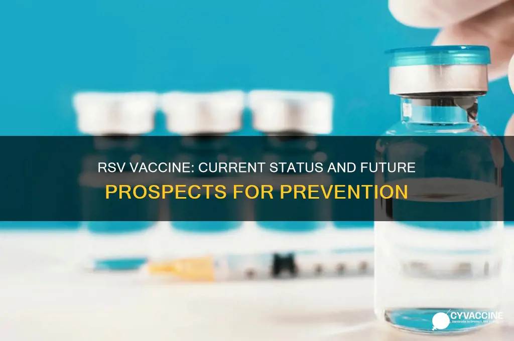 is there a vaccine for respiratory syncytial virus rsv