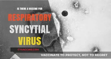 The Race for an RSV Vaccine: Is It Possible?
