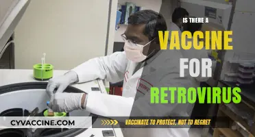 Exploring the Quest for a Retrovirus Vaccine: Hope and Challenges