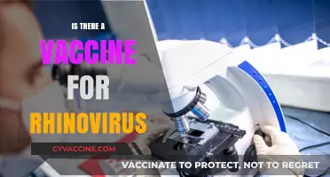 Rhinovirus Vaccine: Current Research and Future Possibilities Explained
