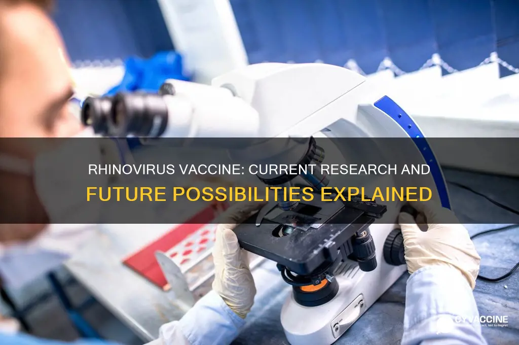 is there a vaccine for rhinovirus