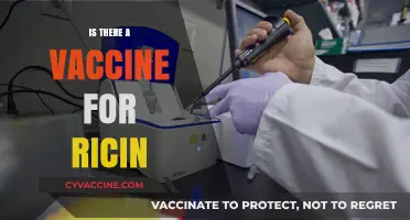 Exploring the Possibility: Is There a Vaccine for Ricin?