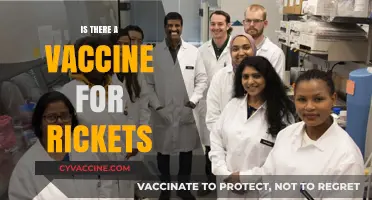 Exploring Rickets: Prevention, Symptoms, and the Quest for a Vaccine