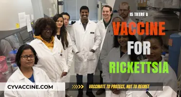 Exploring Rickettsia Vaccines: Current Research and Prospects