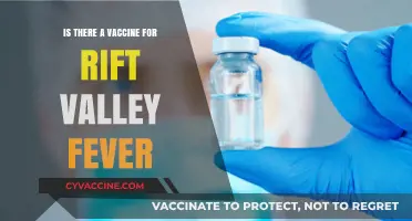 Rift Valley Fever Vaccine: Current Status and Future Prospects