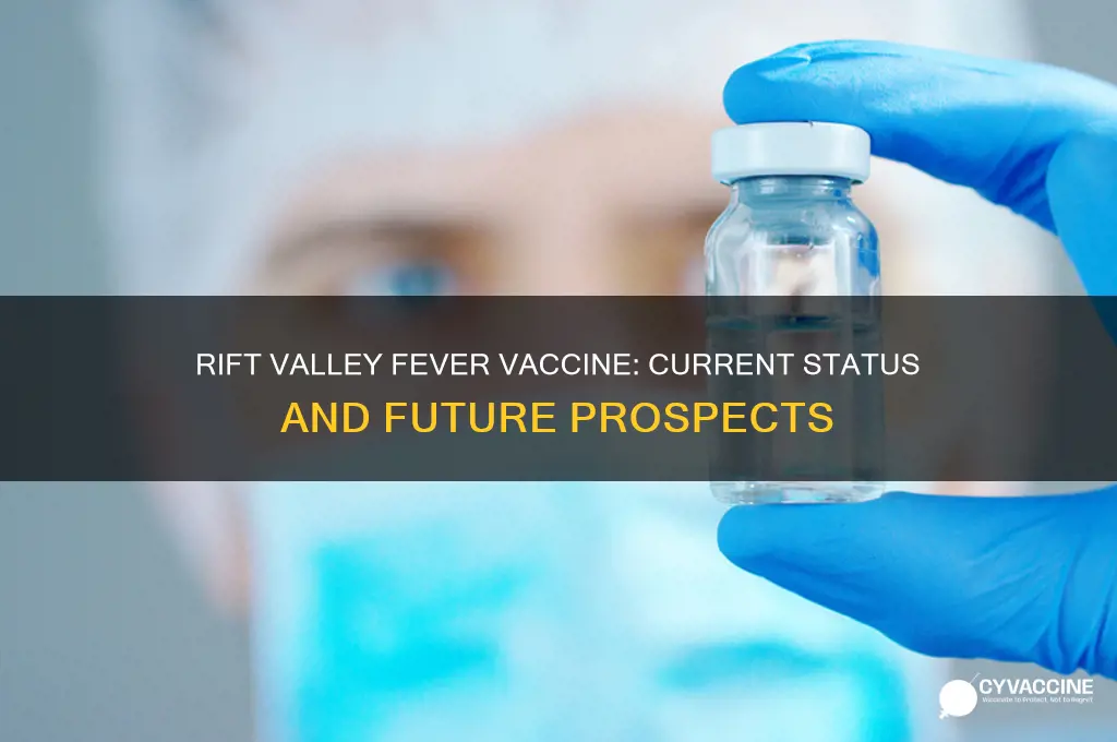 is there a vaccine for rift valley fever